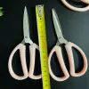 Pink scissors, daily household scissors, cloth scissors, paper-cutting, office cutting, sewing, hand scissors, opening scissors, wholesale 2 yuan Item Picture